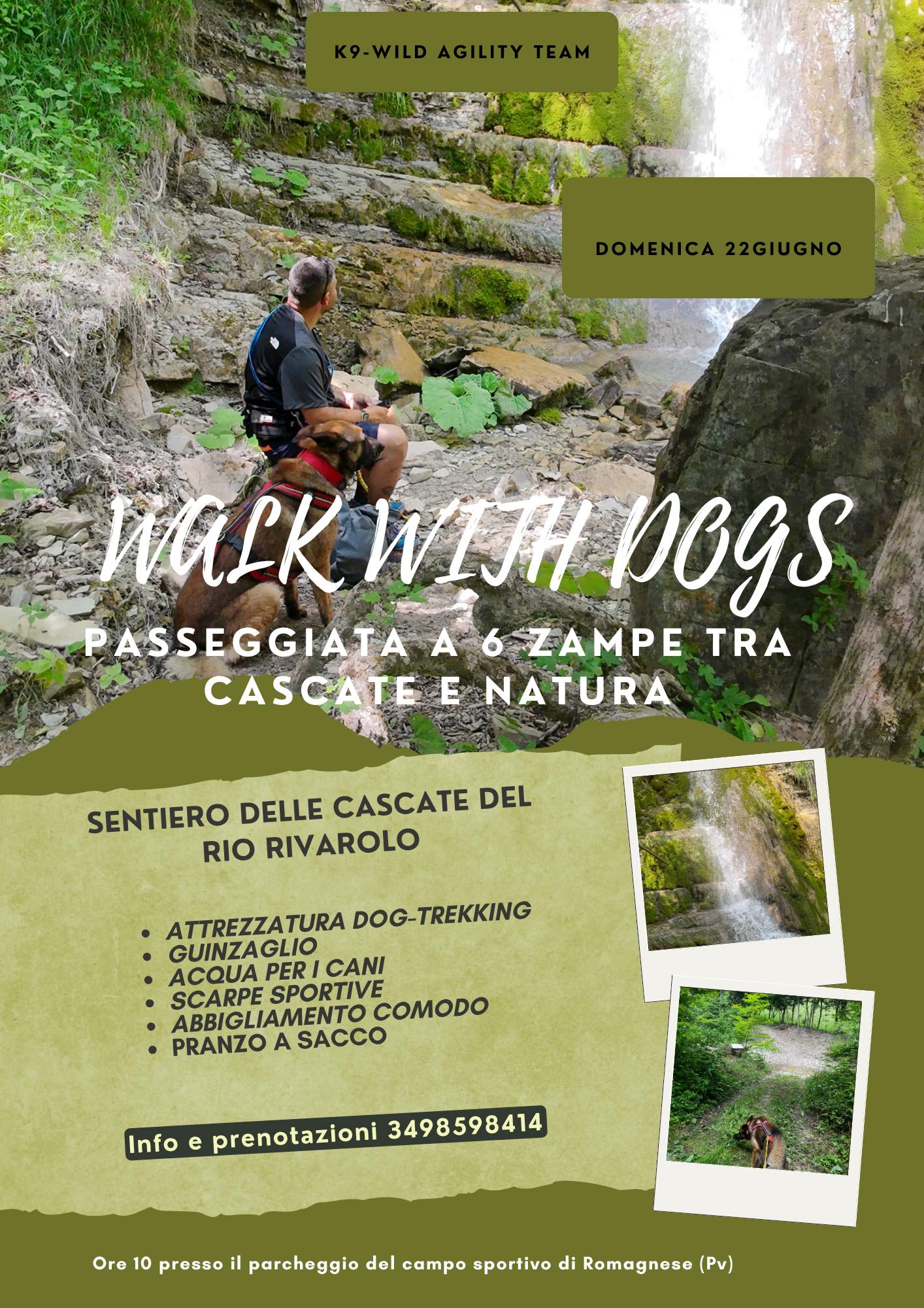 Walk with dogs