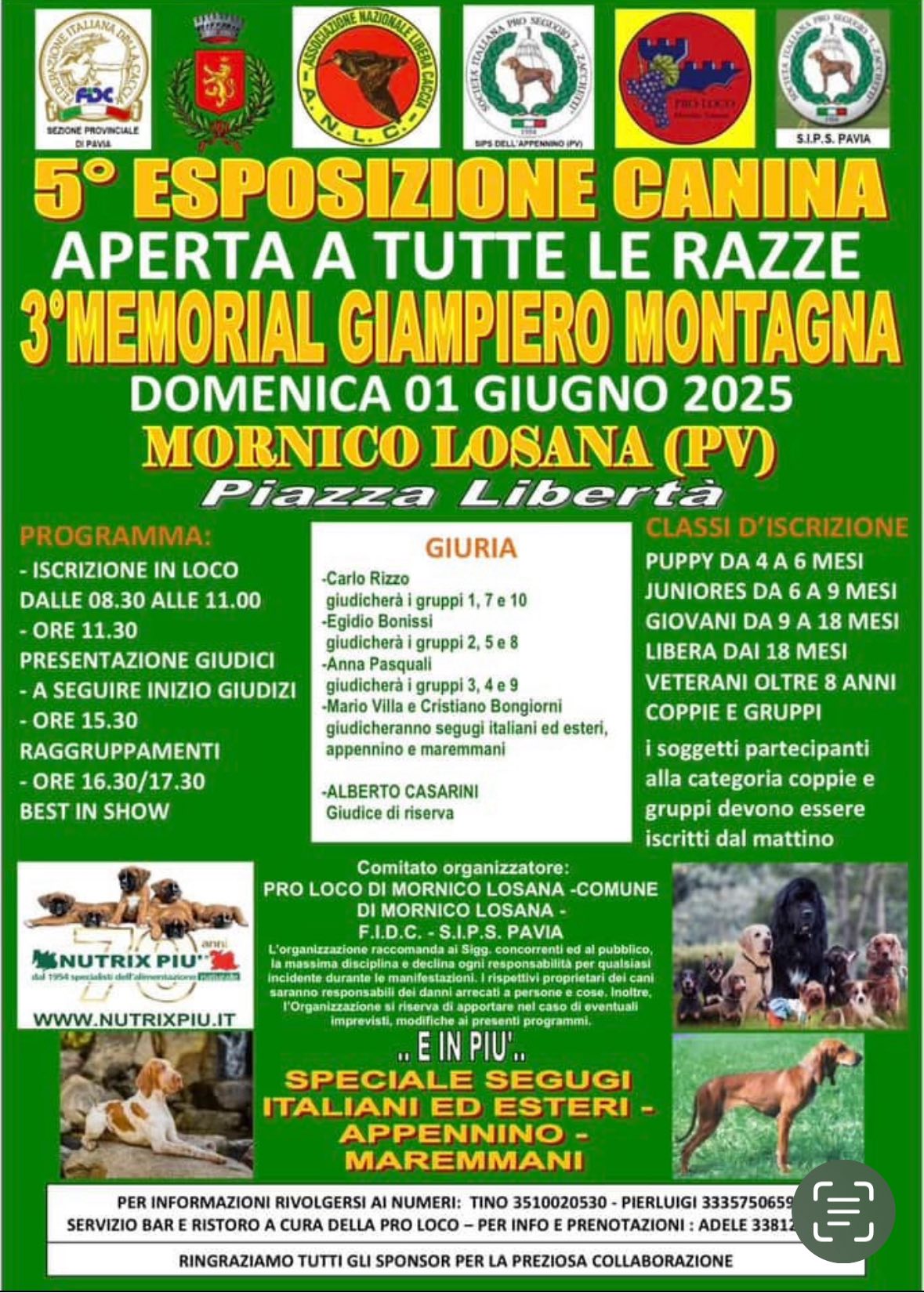 Esposizione Canina