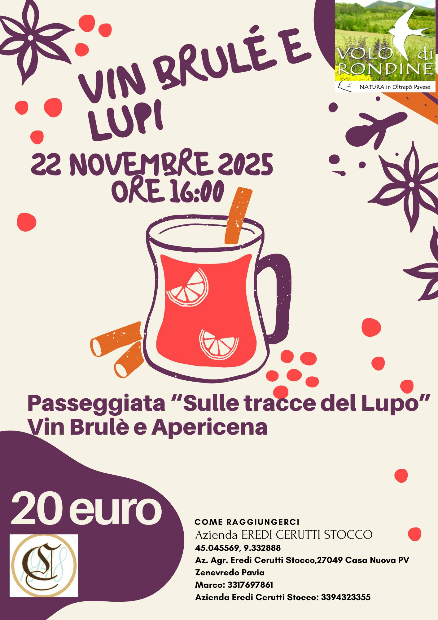 Vin Brulè e lupi