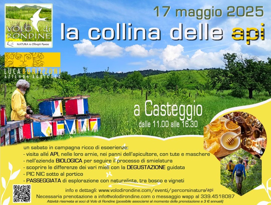 La collina delle api