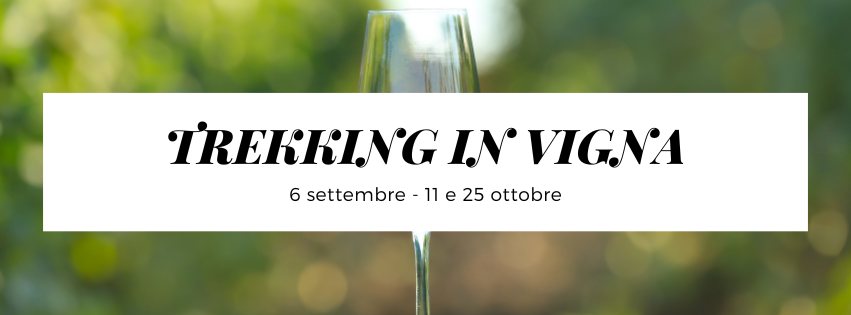 Trekking in vigna