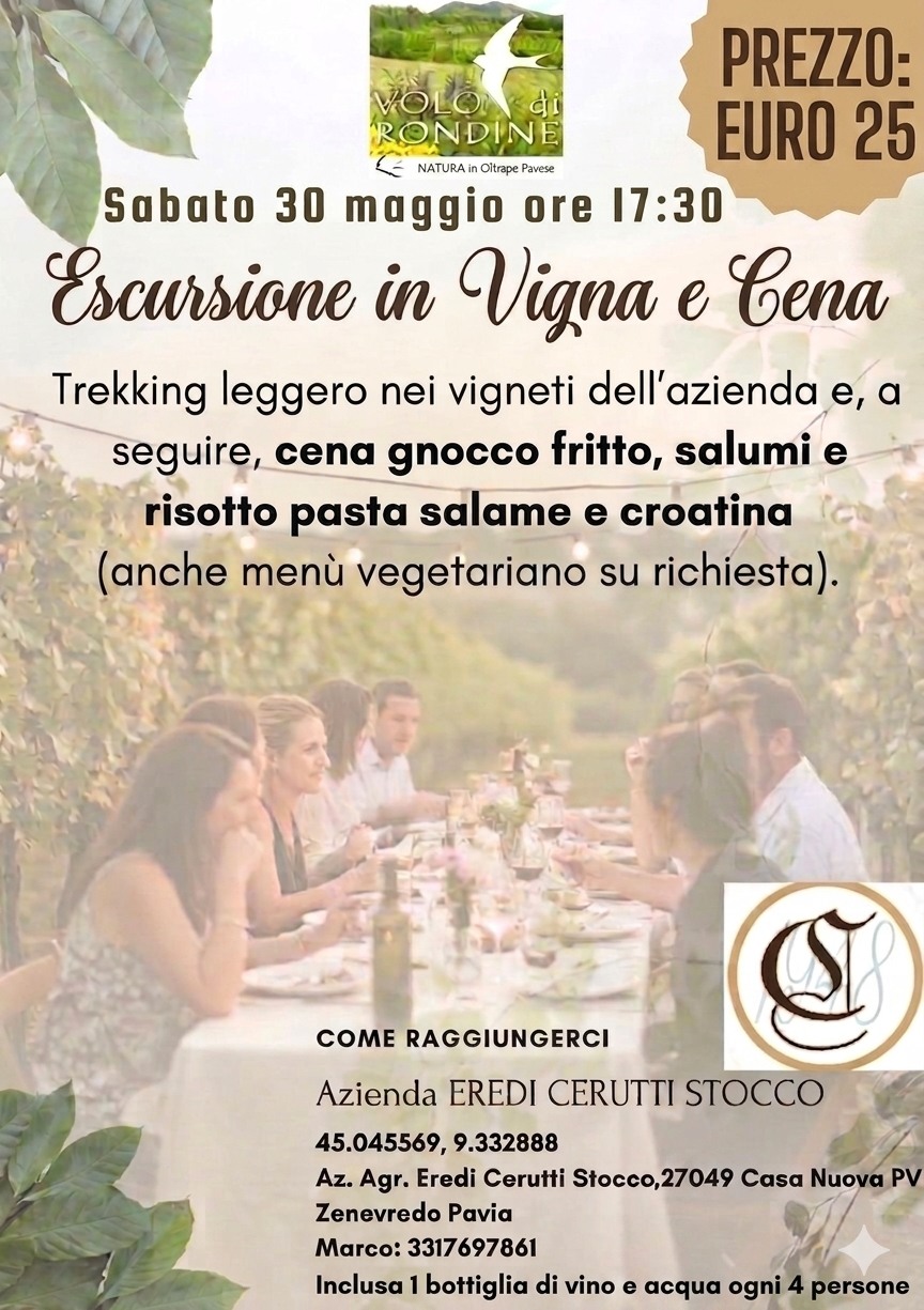 Escursione serale in vigna e cena in azienda